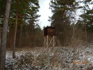 Ambona skierowana w stronę nęciska, Żernica, Bieszczady. Fot. z archiwum Pracowni