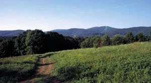 Widok na Gościnną Dolinę od strony osiedla Karpackiego. Fot. Jacek Zachara