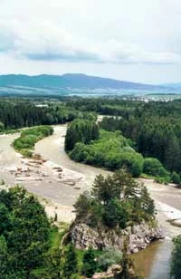 Rezerwat „Przełom Białki pod Krempachami”. Fot. Bohdan Mrówka