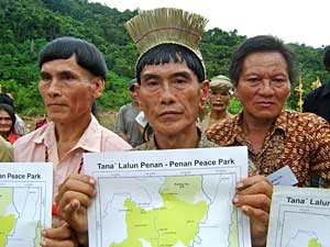 
Wódz Jawa Nyipa (w środku) z Long Ajeng prezentuje mapę z granicami „Parku Pokoju Penan”. Fot. © Bruno Manser Fonds
