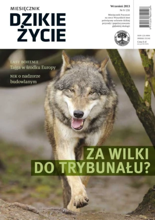 Wywiad opublikowany w Dzikim Życiu, nr 9/231, wrzesień 2013