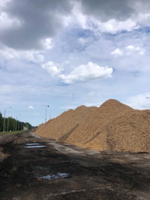 Skład zrębki drzewnej, najpowszechniejszego rodzaju biomasy stałej wykorzystywanej w Polsce do celów energetycznych. Fot. Archiwum Pracowni na rzecz Wszystkich Istot