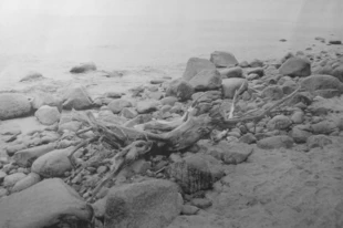 Morze Bałtyckie (Gdynia-Redłowo). Fot. Grzegorz Czerwiński