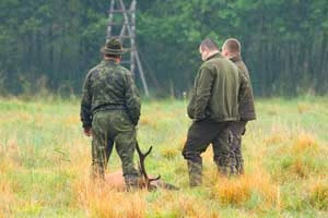 Tego jelenia nie trzeba było dochodzić. Fot. Łukasz Koba