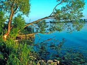 
Bugo-Narew. Fot. Krzysztof Wojciechowski
