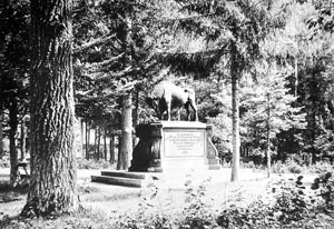 
Zabytkowa fotografia wykonana w Zwierzyńcu, przestawiająca pomnik projektu M. Zichiego wzniesiony dla upamiętnienia polowania cara Aleksandra II w Puszczy Białowieskiej.
