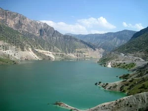 Drzewa wokół zbiornika wodnego Karun 4. Fot. Mohammad Tajeran