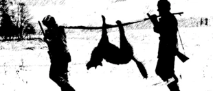 Ryc. Archiwum Pracowni