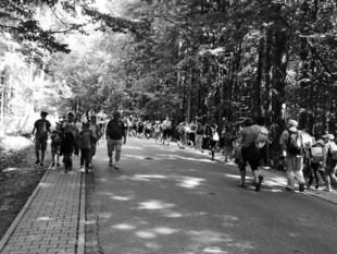 Oblaci organizują w sercu Świętokrzyskiego Parku Narodowego masowe imprezy. Radykalnie wzrosła presja turystyczna. Fot. Łukasz Misiuna