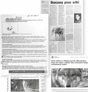 Źródło: Artykuł Krzysztofa Potaczały z rzeszowskich „Nowin”, 28.11.2005; Artykuł Izabeli Półchłopek „Osaczony przez wilki”, „Podkarpacie”, nr 51-52, 21 grudnia 2005 r., s. 5; olesnica.naszemiasto.pl; swiatrolnika.info;