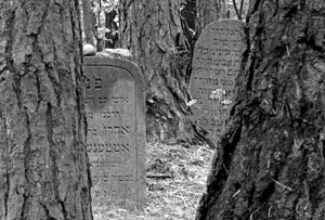 
Cmentarz żydowski w Narewce. Fot. Janusz Korbel
