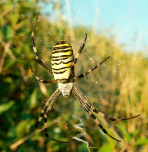 Fot. Krzysztof Wojciechowski