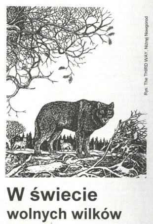 Wilk na rysunku zamieszczonym pierwotnie w „The Third Way”, Niżnyj Nowgorod. Źródło: „Dzikie Życie”, nr 3/1996, s. 7