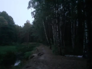 Umościłam się między dwiema brzozami, czyli noc nad rzeką Grabią pod Łodzią, sierpień 2024 r. Fot. Agnieszka Boruta