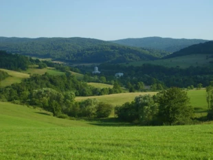 
Obecność gatunków GM w środowisku naturalnym prawdopodobnie nie jest bez znaczenia. Fot. Piotr Skubała
