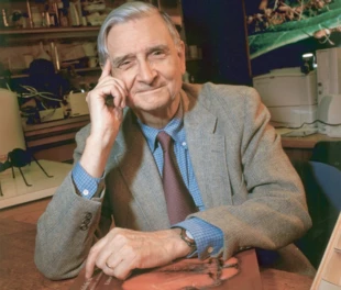 
Edward O. Wilson – jeden z największych biologów XX wieku. By Jim Harrison – PloS, CC BY 2.5, wikipedia.org
