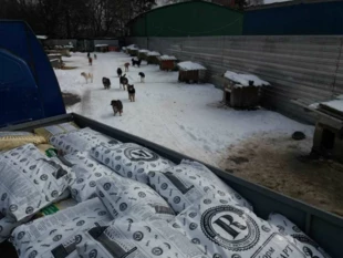 Dostawa karmy do schroniska w Sumach