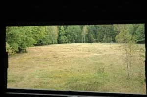 Puszcza Białowieska. Fot. Sylwia Szczutkowska