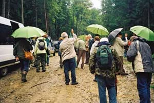 Wizja lokalna na stokach Jaworzyny Krynickiej nieopodal planowych tras zjazdowych kompleksu rekreacyjnego Szczawniczek, wrzesień 2008. Fot. Grzegorz Bożek