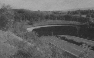 Przejście dla zwierząt nad drogą w Niemczech. Fot. Rafał Kurek