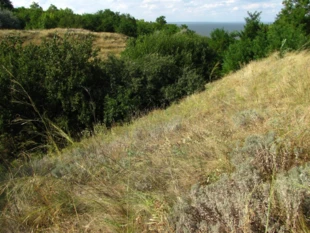 Bałka, wąwóz stepowy, w Parku Narodowym „Wełyky Łuh”, obecnie pod okupacją. Fot. Krzysztof Wojciechowski