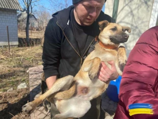 Autor artykułu pod Lwowem. Fot. Archiwum Alana Weissa