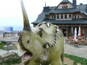 Dinozaury Turystyki czyli loga Siedmiu Dolin? Na szczycie Jaworzyny Krynickiej, 2009 rok. Fot. Zdzisław Borsuk