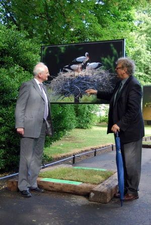 Ambasador RP opowiada irlandzkiemu Ministrowi Środowiska o tym, że co czwarty bocian biały na świecie urodzony jest w Polsce. Fot. Nikola Sękowska