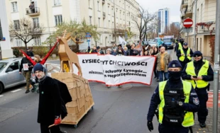 Jeleń świętokrzyski prowadzony do ministry Anny Moskwy ulicami Warszawy. Fot. Łukasz Misiuna