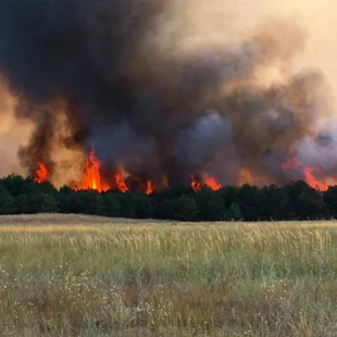 Pożary na Półwyspie Kinburnskim. Fot. profil Facebook Kinburn.Life