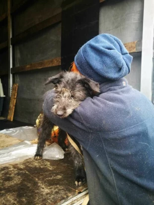 Pożegnania są najtrudniejsze. Pracowniczka schroniska w Sumach żegna się z każdym wyjeżdżającym zwierzęciem. Wszystkie fotografie: Alan Weiss
