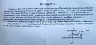 Ogłoszenie o zakazie wstępu do lasu w Nadleśnictwie Białowieża (kliknij, aby powiększyć)