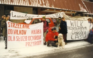 Pikieta w obronie wilków przed siedzibą Bieszczadzkiego Parku Narodowego w Ustrzykach Dolnych, listopad 1996 r. Kilkanaście miesięcy później wilk zostanie objęty pełną ochroną. Fot. Janusz Korbel