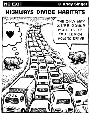 
Autostrady dzielą ekosystemy. Jedyny sposób, żebyśmy mogli się spotkać, to nauczyć się jeździć samochodem. Rys. Andy Singer, andysinger.com
