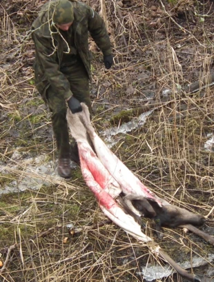 Szczęście myśliwskie. Fot. Ryszard Kulik