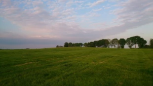 Pastwiska regularnie spasane i koszone to najlepsze miejsca dla susłów. Fot. Jurij Jankiewicz