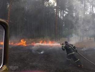Gaszenie pożaru w leśnym uroczysku. Fot. Zarząd Główny Państwowej Służby ds. Sytuacji Nadzwyczajnych obwodu mikołajowskiego