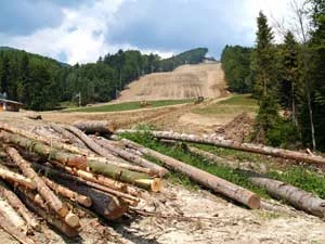 Nartostrada na Jaworzynie Krynickiej w trakcie powstawania, rok 2006. Fot. Krzysztof Okrasiński