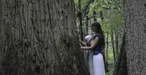 W dzień moich urodzin przyjaciel zaprowadził mnie do prastarego dębu... tam szeptaliśmy o bezczasie. Fot. Janusz Korbel