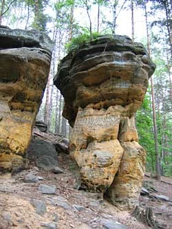 
Rezerwat Skałki Piekło pod Niekłaniem, świętokrzyskie. Fot. Andrzej Ginalski
