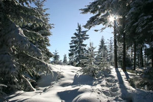 Beskid Mały zimą. Fot. Radosław Ślusarczyk