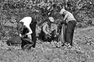 Przed sprzątaniem trasa obfitowała w niechciane dekoracje. Fot. Robert Zakrzewski, RunVegan