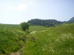 Pieniny. Fot. DaLee_pl, flickr.com