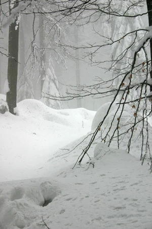 Beskid Mały zimą. Fot. Radosław Ślusarczyk