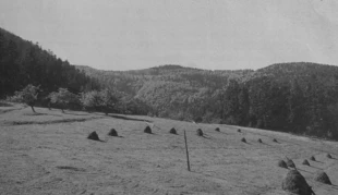 Mogielica. Fot. Łukasz Kajtoch