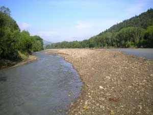 Naturalne koryto rzeki Łososiny niewiele zmienione w efekcie powodzi, 2011 r. Fot. Łukasz Kajtoch