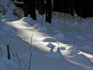 Fot. Andrzej Śliwiński