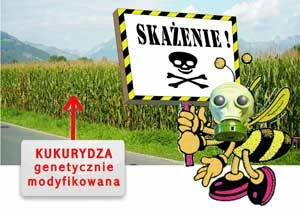 Ulotka o zagrożeniu dla pszczół