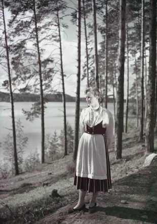 Grzbiet Punkaharju należy do narodowych krajobrazów Finlandii. Punkaharju jest jednym z najstarszych rezerwatów przyrody na świecie. Fot. Fredrik Georg Runeberg, źródło: Finnish Heritage Agency za Finna.fi