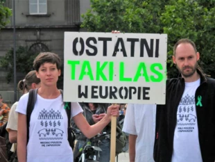 W obronie Puszczy Białowieskiej, 13 czerwca 2017. Fot. Archiwum Pracowni